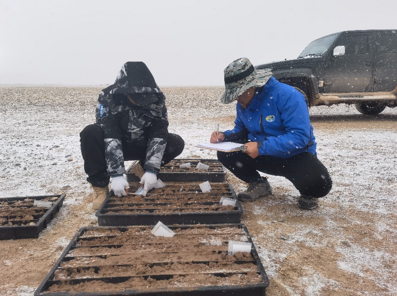 1698999786693723.jpg 4.jpg