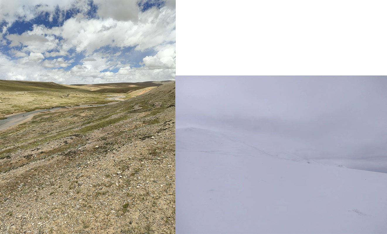 1699000019246806.jpg 2.jpg